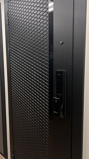 Входная дверь  