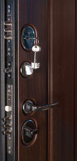 Входная дверь  